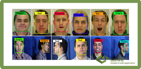Facial expression recognition Circuit Diagram